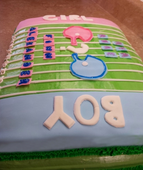 Baby Reveal Cake January 30th 2015 (1)